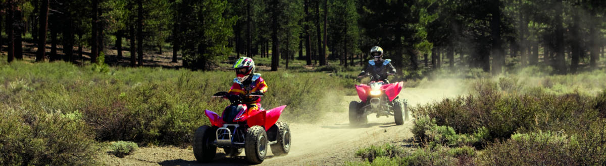 DSP Motorsports parts Honda ATV